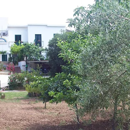 Arcobaleno فندق مبيت وإفطار 3*