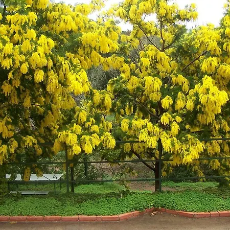 Arcobaleno فندق مبيت وإفطار