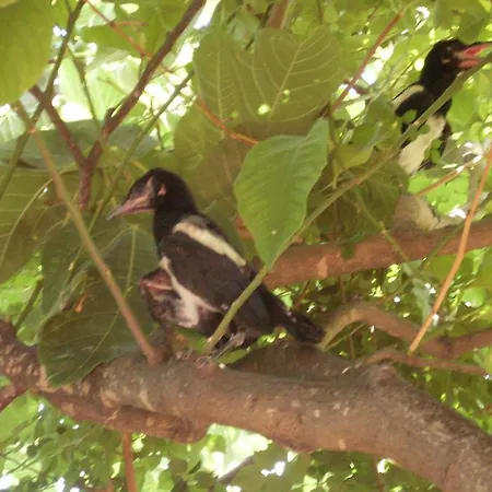 Bed & Breakfast Arcobaleno 3*