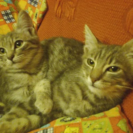 Arcobaleno Bed & Breakfast