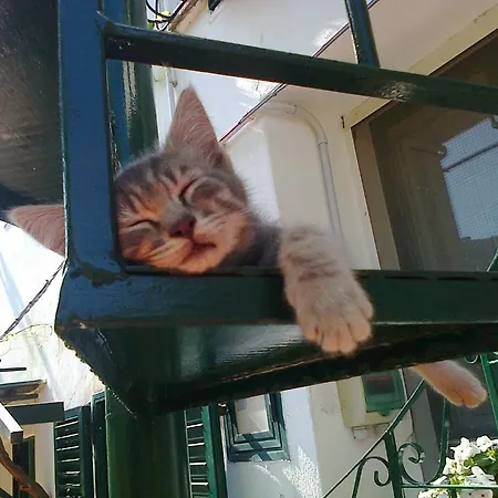 Bed & Breakfast Arcobaleno 3*