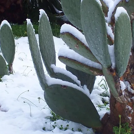 Arcobaleno 3* تْشيفالو