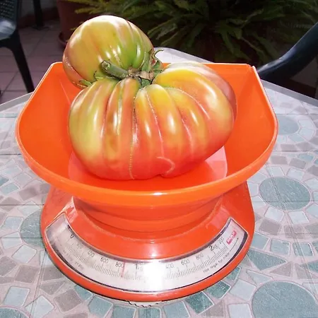 فندق مبيت وإفطار Arcobaleno 3*