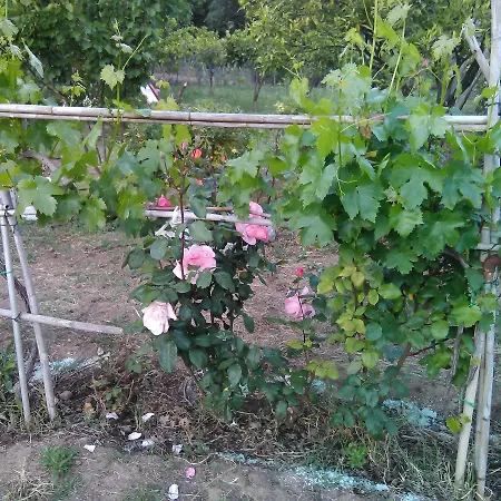 Arcobaleno Bed & Breakfast 3*