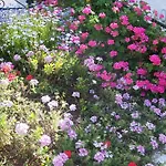 Arcobaleno Bed and Breakfast