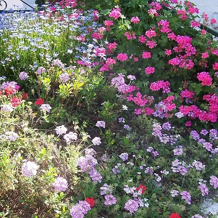 Arcobaleno Bed and breakfast