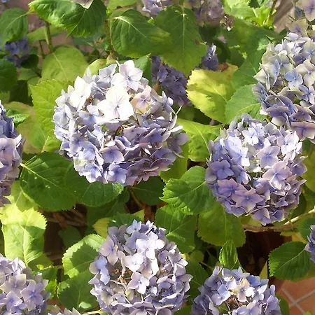 Arcobaleno 3* Cefalù