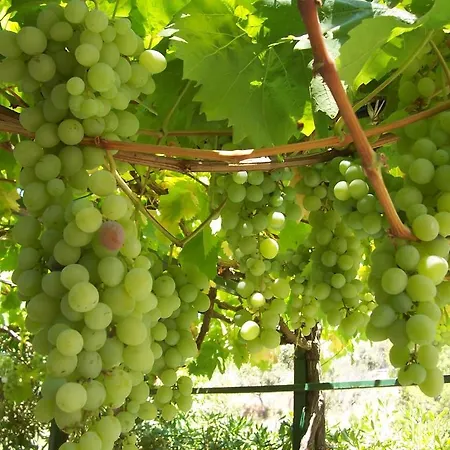 Bed and Breakfast Arcobaleno