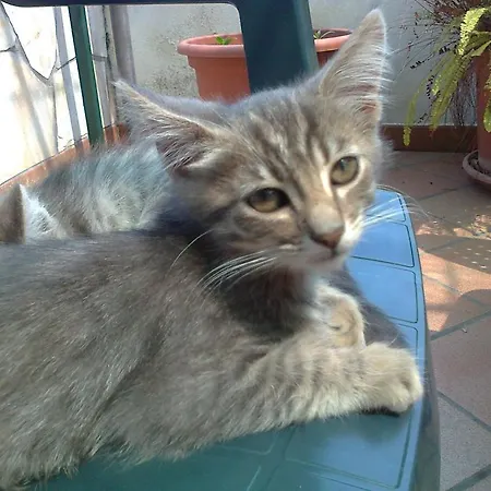 Arcobaleno 3* Cefalù