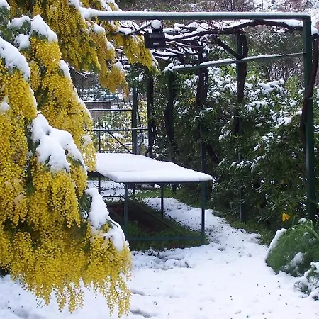 Arcobaleno Bed and breakfast 3*