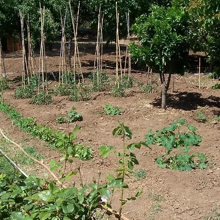 לינה וארוחת בוקר Arcobaleno