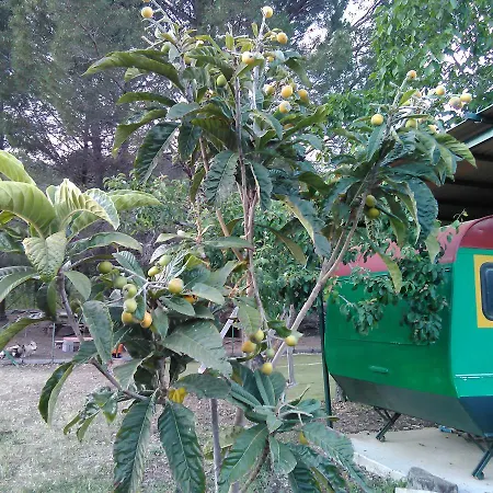 Arcobaleno לינה וארוחת בוקר