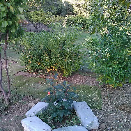 Arcobaleno צ'פאלו