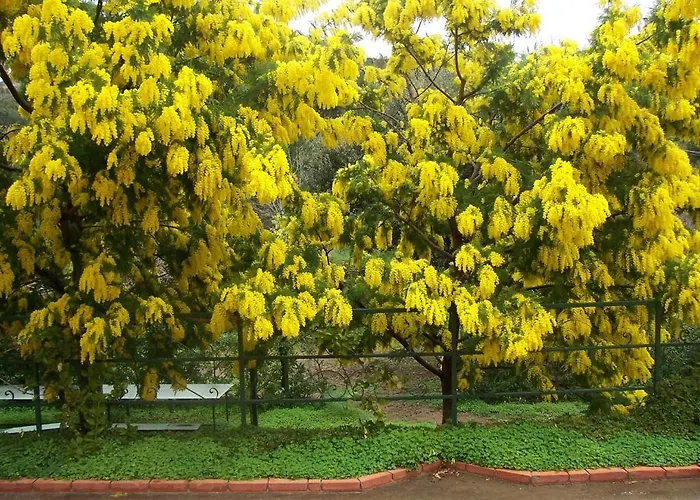 Arcobaleno Bed and breakfast