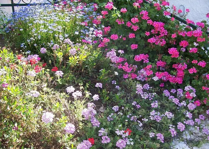 Arcobaleno Alojamento de Acomodação e Pequeno-almoço