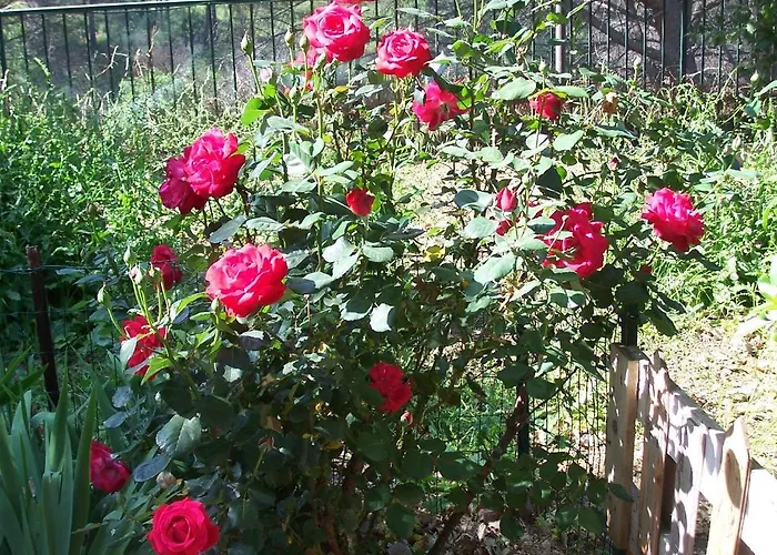 Arcobaleno Bed and breakfast 3*