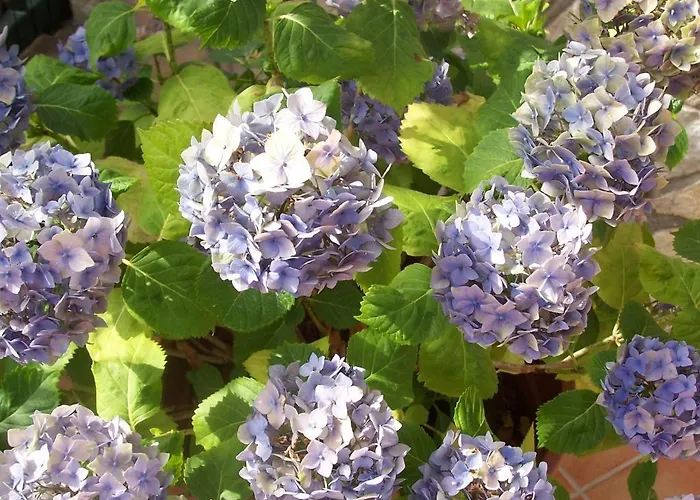 Arcobaleno 3* Cefalú