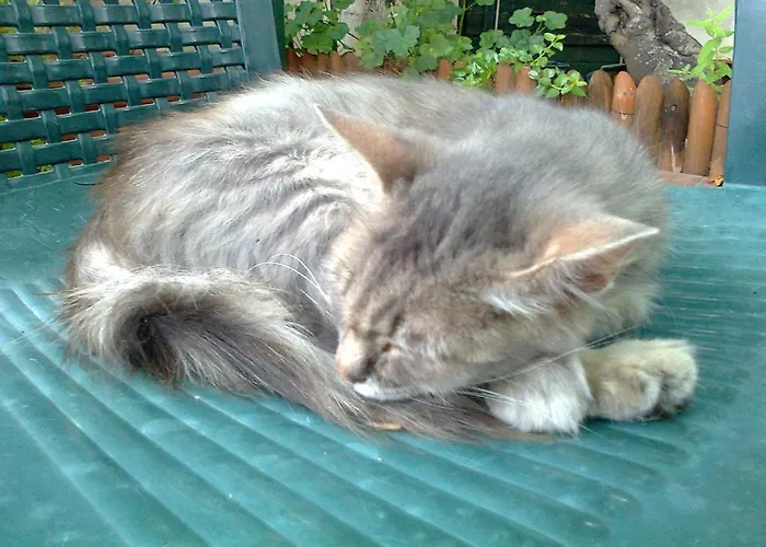 Arcobaleno Alojamento de Acomodação e Pequeno-almoço Cefalù