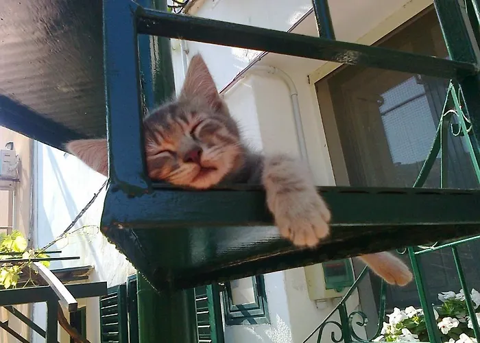 Alojamento de Acomodação e Pequeno-almoço Arcobaleno 3*