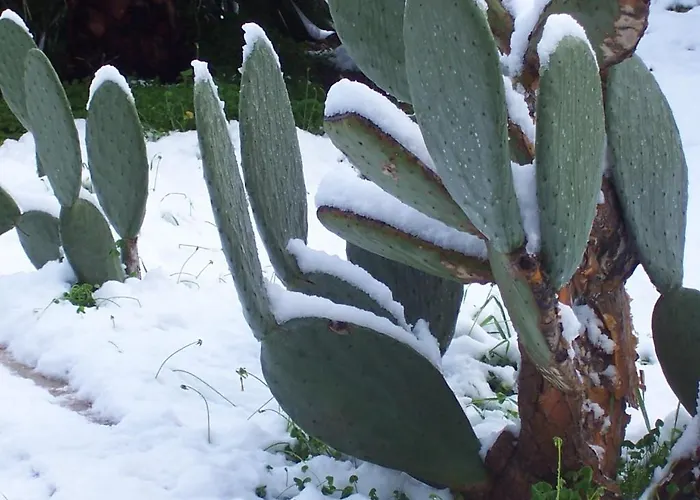 Arcobaleno 3* Cefalù