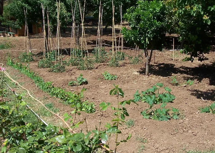 Alojamento de Acomodação e Pequeno-almoço Arcobaleno