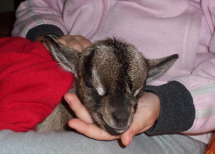 Arcobaleno Alojamento de Acomodação e Pequeno-almoço Cefalù