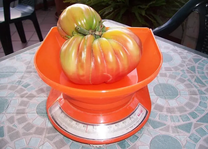 Alojamento de Acomodação e Pequeno-almoço Arcobaleno 3*