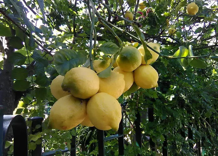 Arcobaleno Alojamento de Acomodação e Pequeno-almoço