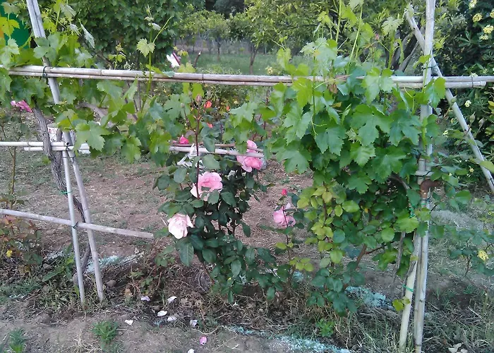 Arcobaleno Bed and breakfast 3*